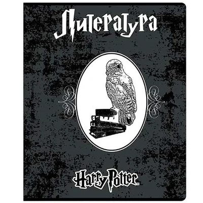 76435 Тетрадь предметная Литература Гарри Поттер, со справочным материалом, формат А5, клетка, 48 листов, на скрепке, внутренний блок офсет 60-65 г, 92% белизна, обложка софт-тач, скругленные углы, 1 дизайн, в спайке 10 шт 702610542