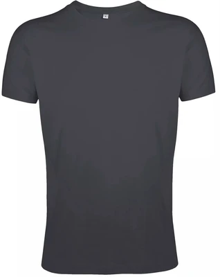 Футболка мужская Regent Fit 150, темно-серая 296703395