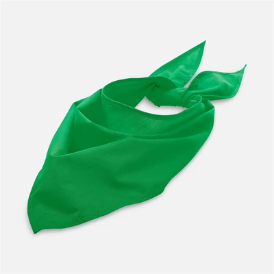 Шейный платок Bandana, ярко-зеленый 2059908865