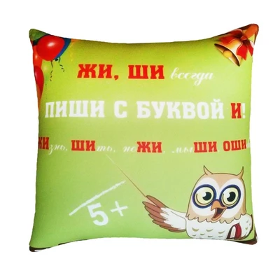 Игрушка Подушка Правило "Жи Ши" 854516033