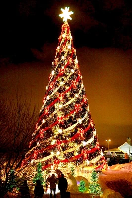 Green Trees Высотная Уличная Сосна Альпийская 11.0 м. хвоя леска - СА-1100Л 63643228