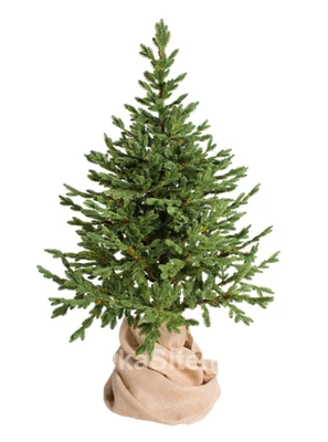 Green Trees Ель Датская Премиум 1.5 м. 1175793563