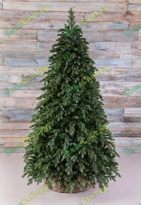 Triumph Tree Ель Царская 230 см. - 73675 803694390