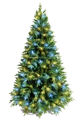 Green Trees Ель световая Валерио Премиум 2.4 м. 1116693098