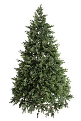 Green Trees Ель Брено Люкс 2.4 м. 457063461