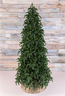 Triumph Tree Ель Нормандия Стройная 260 см. - 73656 1003321614