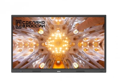 Интерактивный комплекс EXELL EXID-862-RU 1974393348