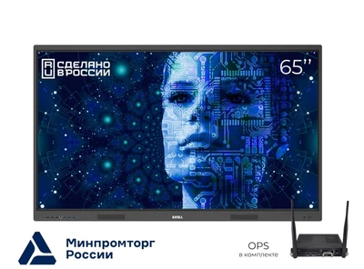 Интерактивный комплекс EXELL EXID-652-RU с креплением, камерой и OPS (i5) 374421103