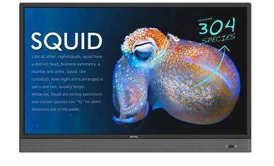 Интерактивная панель BENQ RP653K 1744072853