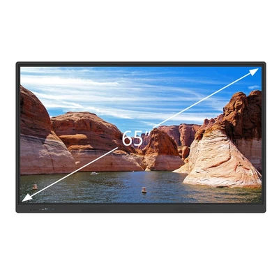 Интерактивная панель DigiTouch T3-11-65 744537399