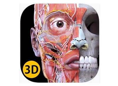 Анатомический 3D_атлас Systema, пакетная лицензия на 30 персональных учетных записей на 5 лет 134471444