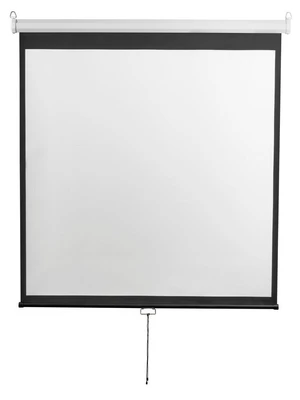Экран настенный Digis DSOD-1104 Optimal-D (1:1) 186x189 (180x180, MW) 1273869903