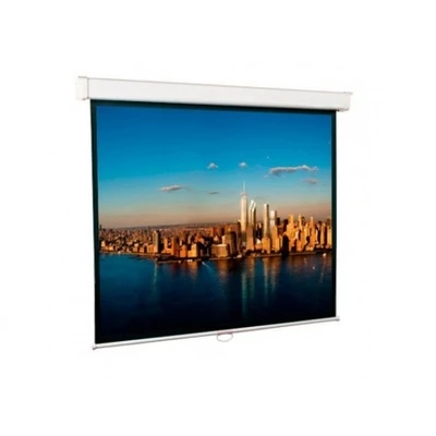 Настенный экран Lumien Master Picture (259х400) 16:9 (MWFG) LMP-100126 1255355533