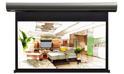 Экран с электроприводом Lumien Cinema Control LCC-100115 (16:9) 305x187 (295х166, MW) 447478382