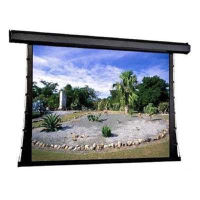 Экран с электроприводом Draper Premier NTSC (4:3) 305/120" (183x244, XT1000VB M1300) ebd 12" case black 1552968322