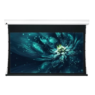 Экран с электроприводом ViewScreen Premium LF-MC120 (16:9) (AACW) 311x199 (265x149 PS WW5) 1514939402