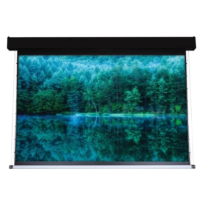 Экран с электроприводом ViewScreen Antis Pro ANP-4303 (4:3) 508x402 (496x372, MW) с пультом 2081564230