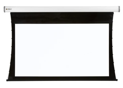 Экран настенный с электроприводом Digis TAB-Tension DSTTS-16905_38 (white) 16:9, (256*350) MW 514569375