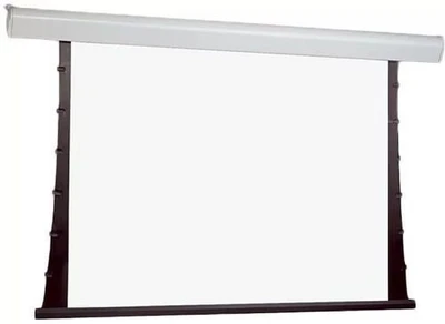 Экран с электроприводом Draper Premier HDTV (9:16) 467/184" 229*406 XT1000V (M1300) ebd 12" case white 1249495960
