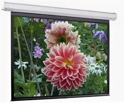 Экран с электроприводом ScreenMedia EL-M240WM Elegant (16:9) 498х342 (488x274, FMW) 1549433702