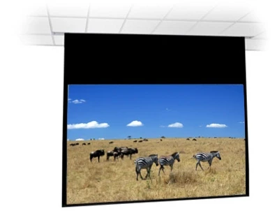 Экран с электроприводом Premier Apus (16:9) 342x342 (E 332x187/9 (MW)-AR/0) 718802734