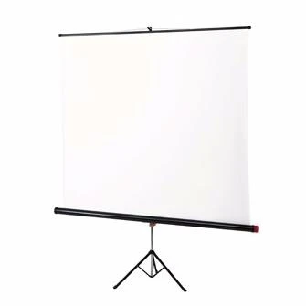 Экран на штативе 155x155 cm Braun Standard (white/silver с антибликовым покрытием) 1615833339
