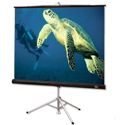 Экран на штативе Draper Diplomat/R AV (1:1) 84/84" (213x213, XT1000E MW) 1093372299