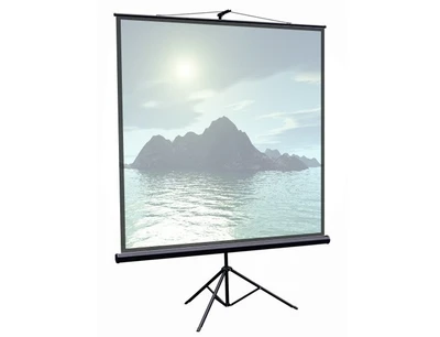 Экран на штативе ScreenMedia STM-1102 Apollo-T (1:1) 180х180 (174x174, MW) 1056246702