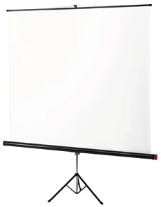 Экран на штативе 180х180 cм Braun Standard (white/silver с антибликовым покрытием) 770113530