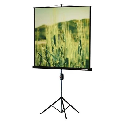 Экран на штативе Lumien Master View LMV-100102 (1:1) 153x153 (147х147, MW) 346707198