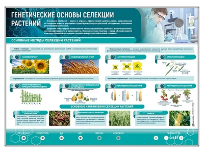 Электрифицированный стенд "Генетические основы селекции растений" Zarnitza 1349322122