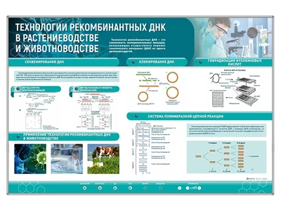 Сборный электрифицированный стенд "Технологии рекомбинантных ДНК в растениеводстве и животноводстве" Zarnitza 1802116012