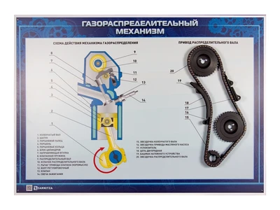 Стенд с навесными агрегатами "Газораспределительный механизм" (категория "B") Zarnitza 984969666