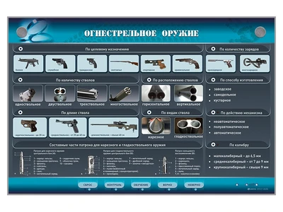 Электрифицированный стенд "Огнестрельное оружие" Zarnitza 216149005