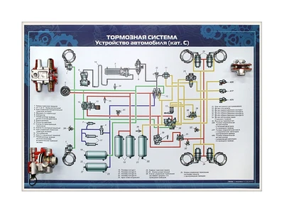 Стенд с разрезными агрегатами "Тормозная система" (категория "C") Zarnitza 1607450530