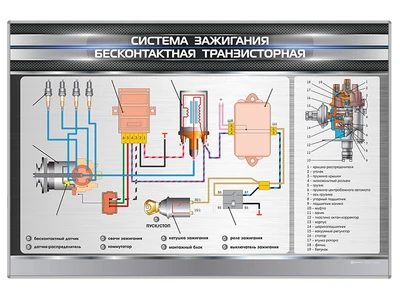 Электрифицированный светодинамический стенд "Система зажигания бесконтактная транзисторная" Zarnitza 649217817