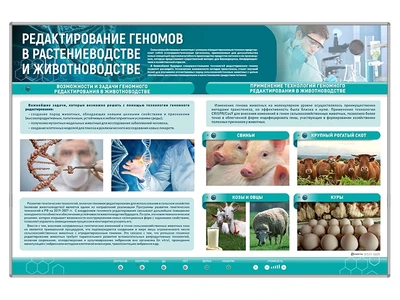 Сборный электрифицированный стенд "Редактирование геномов в растениеводстве и животноводстве" Zarnitza 1386653776
