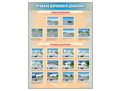 Стенды "Правила дорожного движения" Zarnitza 2130707850