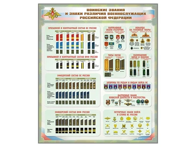 Информационный стенд "Воинские звания и знаки различия военнослужащих Российской Федерации" Zarnitza 9873080