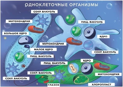 Светящиеся колеса передние 120 мм (2 шт.) 120х30 мм под модель Maxi Розовые 997738331