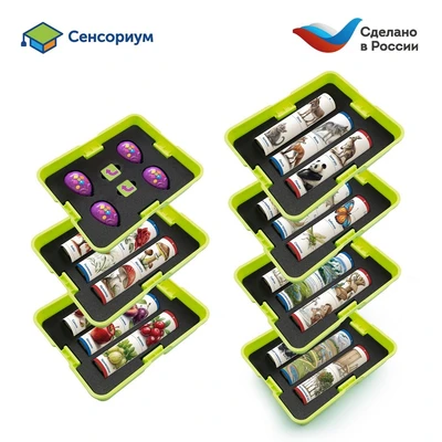 Комплект "Природные богатства России с РобоМышью" (4 робомыши) Learning Resources MS0104 875512622
