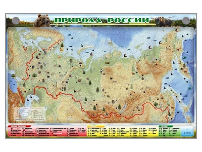 Электронно-информационный (маркерный) стенд "Природа России" Zarnitza 1069614158