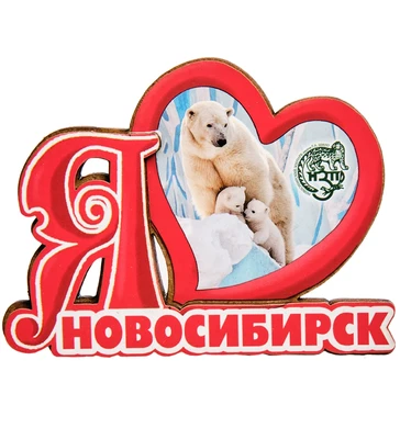 МТ- 006/29-A Магнит «Новосибирск» 114199016