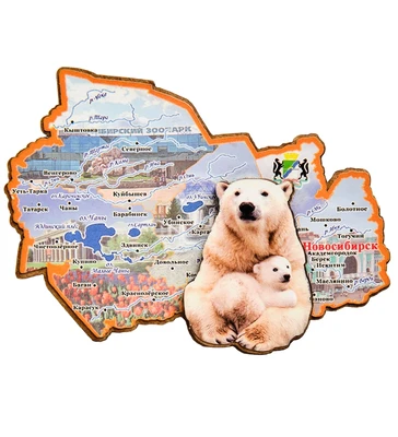 МТ- 006/12 Магнит «Новосибирск» 803982772