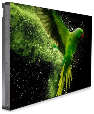Профессиональная панель Barco 55" LVD-5521C 2075999277
