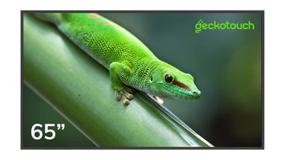Профессиональная панель Geckotouch 65DF 977424024