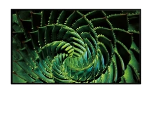 Информационная панель BenQ SL460 644626873