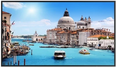 Профессиональная панель Prestigio 55” (PDSIK55WNN0U) 1576878406
