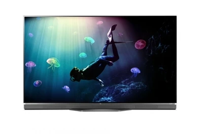 Профессиональная панель LG 65EE5C-3 1307858882