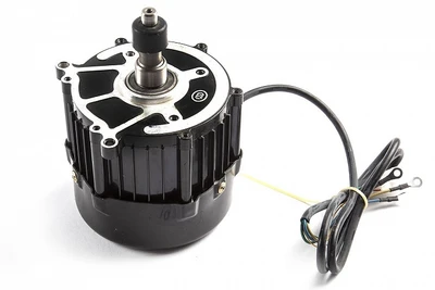 Двигатель электрический 48V 550W 1660188411